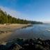 Tofino